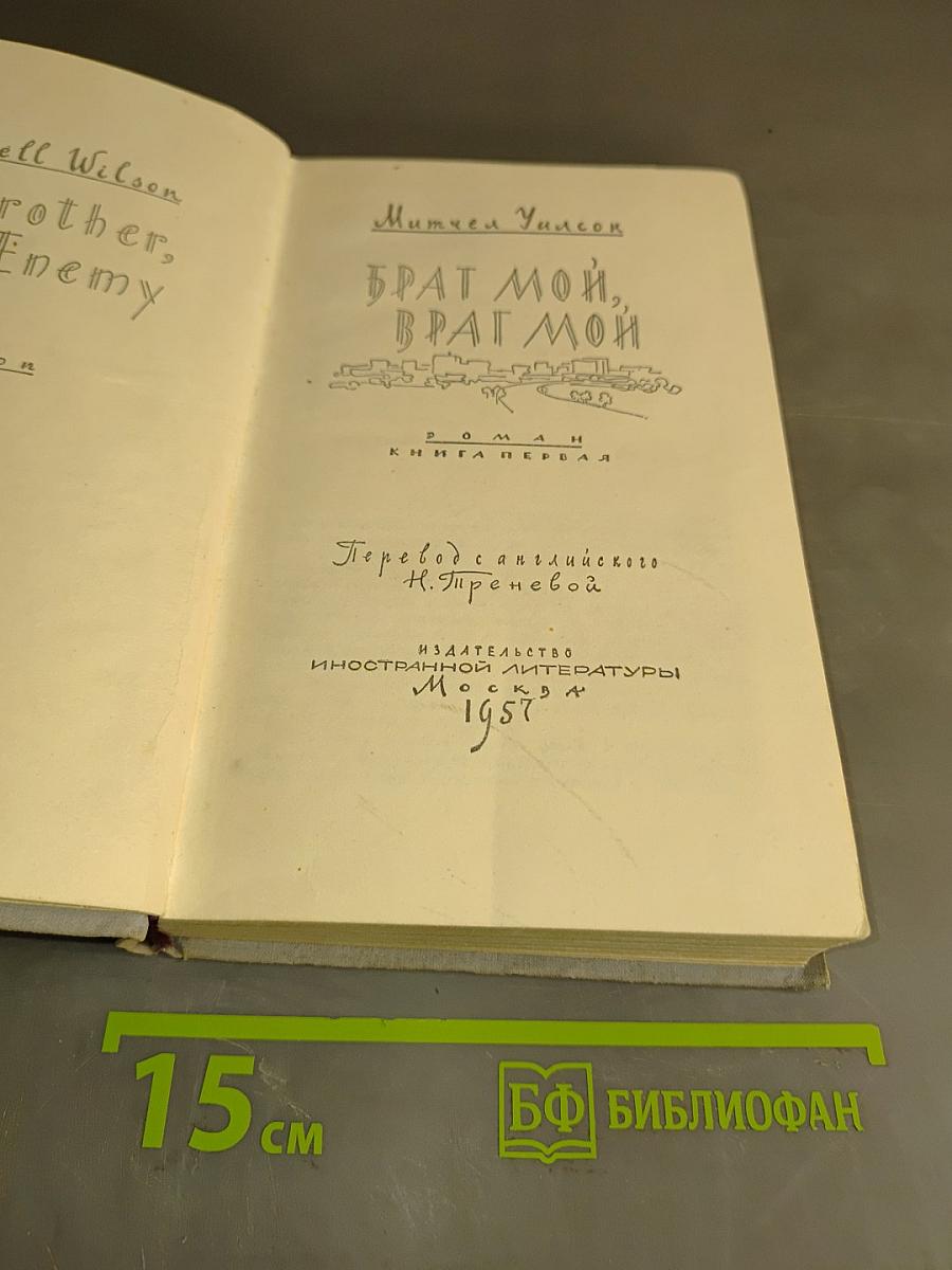 Брат мой, враг мой