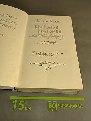 Брат мой, враг мой
