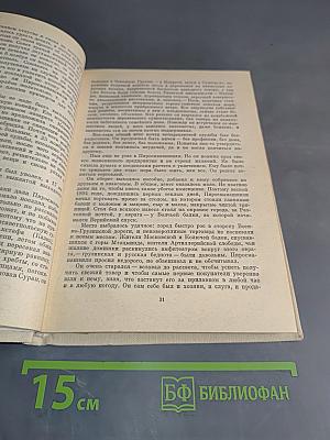 Пиросмани