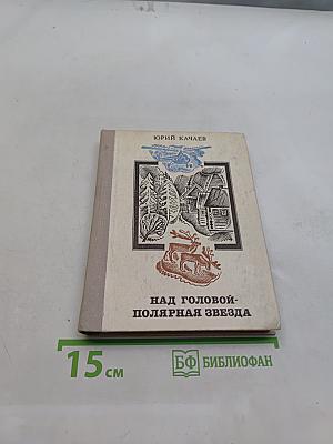 Над головой - Полярная звезда