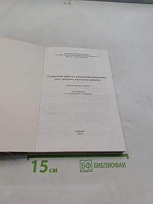Социальная работа и социальная педагогика: опыт, проблемы, перспективы развития