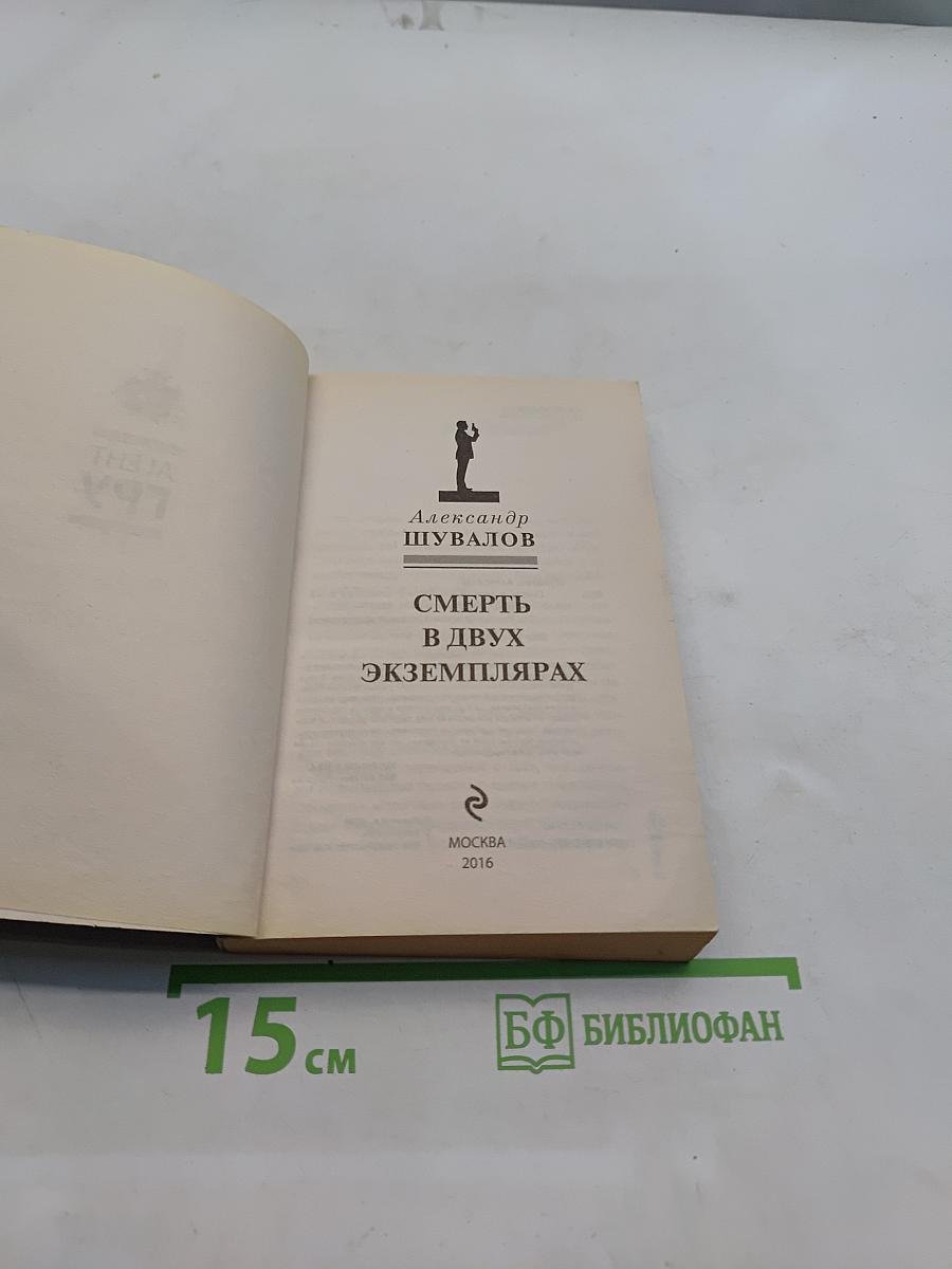 Агент ГРУ. Смерть в двух экземплярах