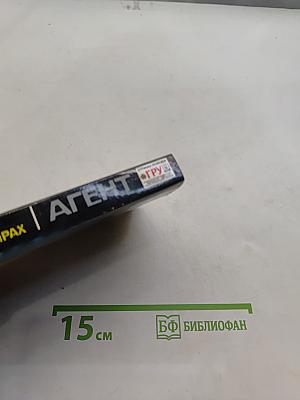 Агент ГРУ. Смерть в двух экземплярах