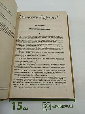 Тайны Парижа времен Генриха IV