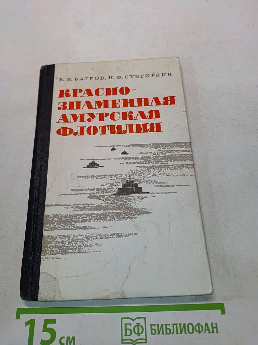Краснознаменная Амурская флотилия