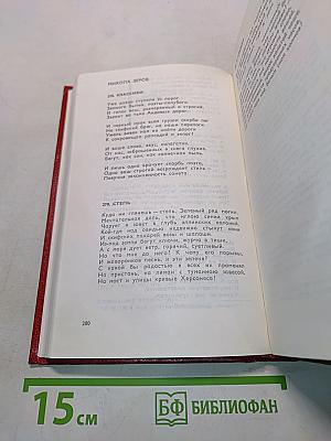 Полутораглазый стрелец