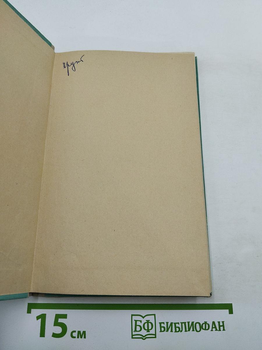 Деревня. Митина любовь