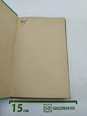 Деревня. Митина любовь