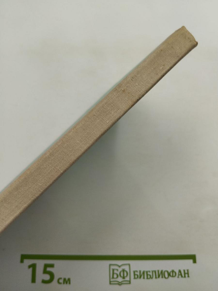 Деревня. Митина любовь