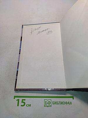 Приманка для сокола