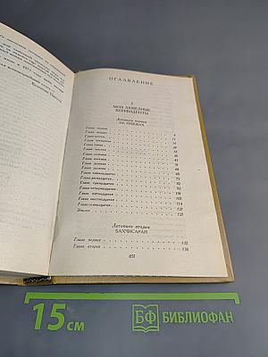 Слово и дело. Роман-хроника времён Анны Иоанновны. Книга 2. Мои любезные конфиденты