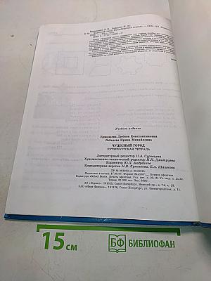 Чудесный город. Петербургская тетрадь
