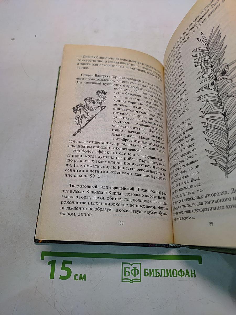 Ваш красивый сад