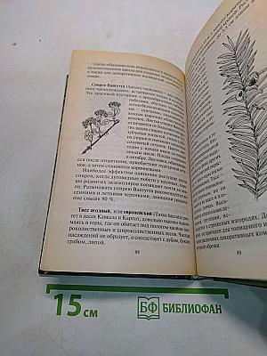 Ваш красивый сад