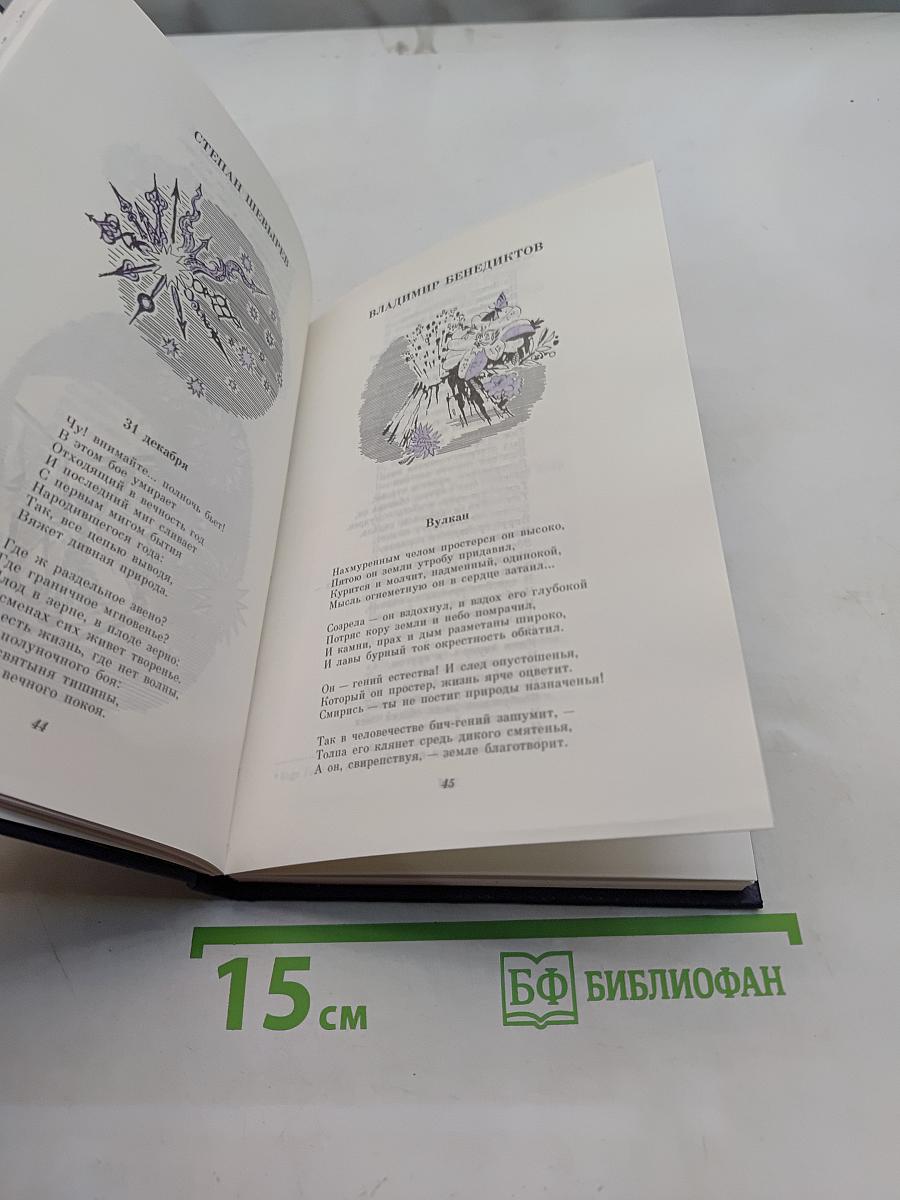 Кибернетический Пегас