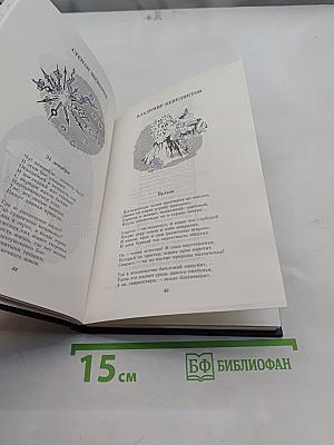 Кибернетический Пегас