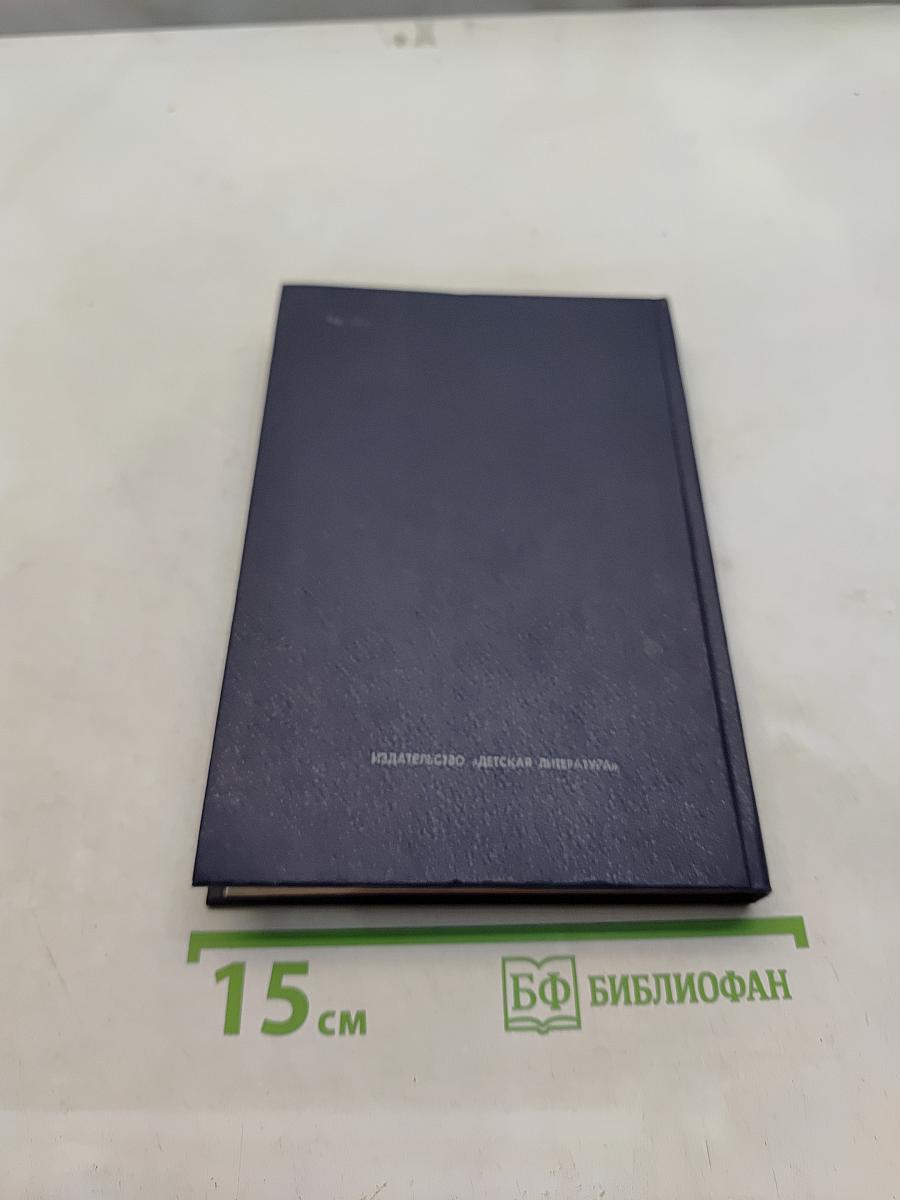 Кибернетический Пегас
