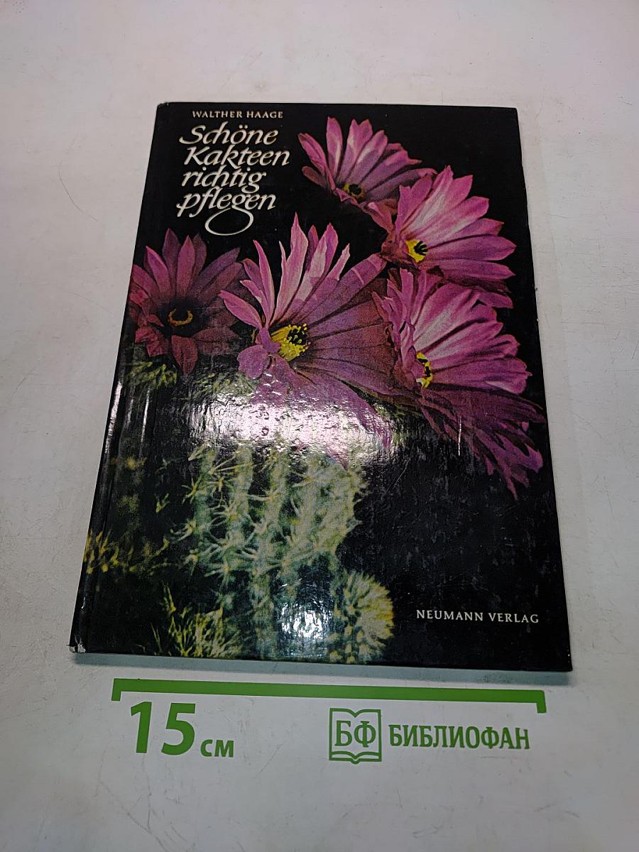 Schöne Kakteen richtig pflegen