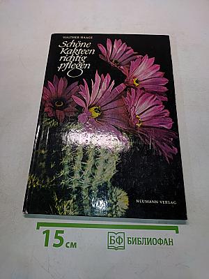 Schöne Kakteen richtig pflegen