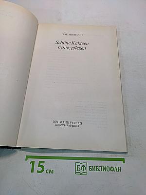 Schöne Kakteen richtig pflegen