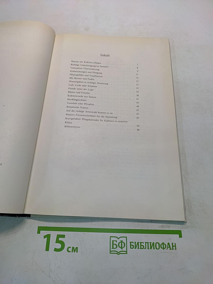 Schöne Kakteen richtig pflegen