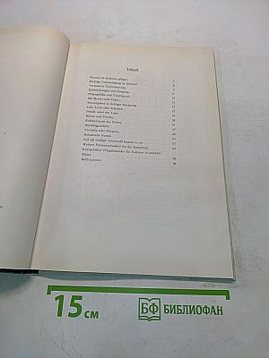 Schöne Kakteen richtig pflegen