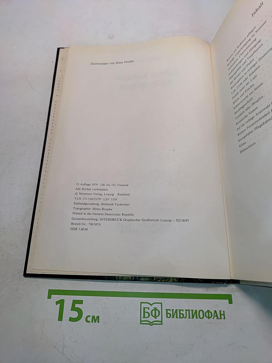 Schöne Kakteen richtig pflegen