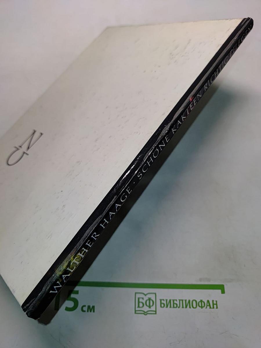 Schöne Kakteen richtig pflegen