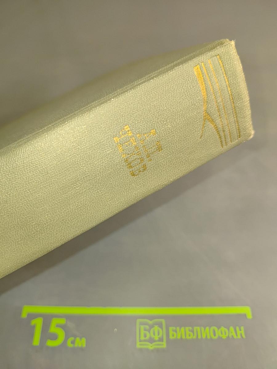 Собрание сочинений. Том одиннадцатый. Письма 1877-1892