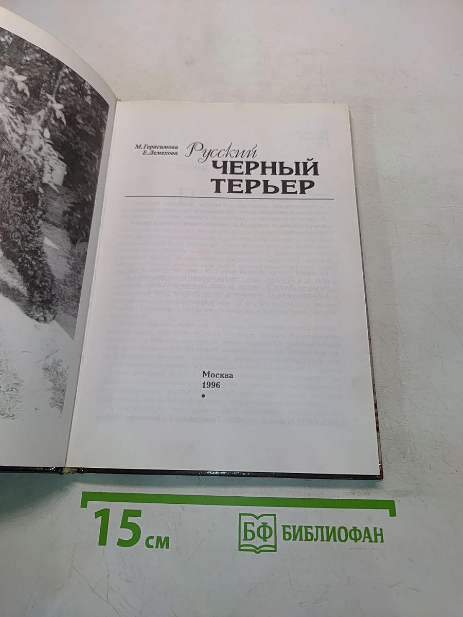 Русский черный терьер