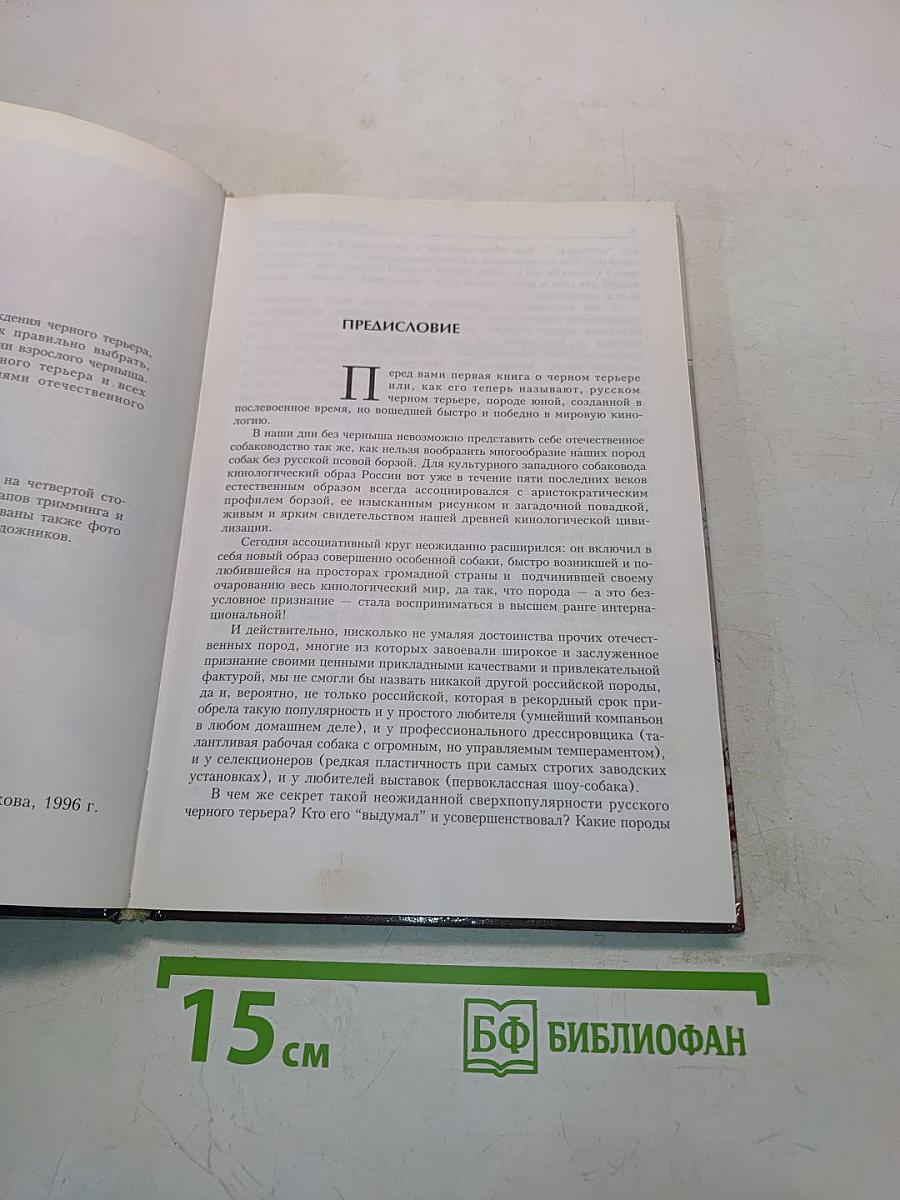 Русский черный терьер