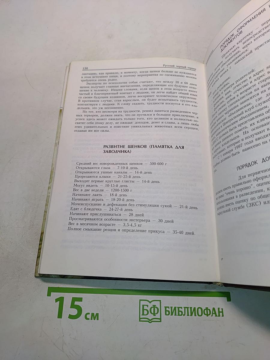 Русский черный терьер