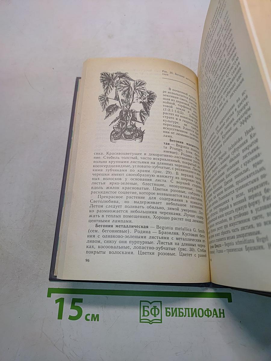 Цветы в комнате и на балконе