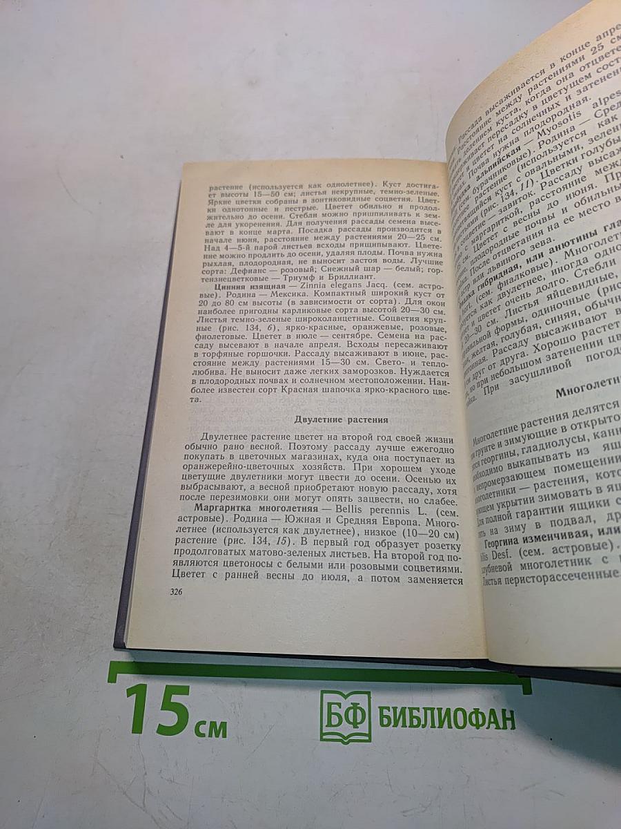 Цветы в комнате и на балконе