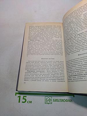 Цветы в комнате и на балконе