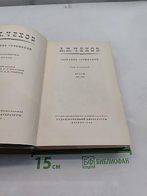 Собрание сочинений. Том десятый. Пьесы 1889-1904