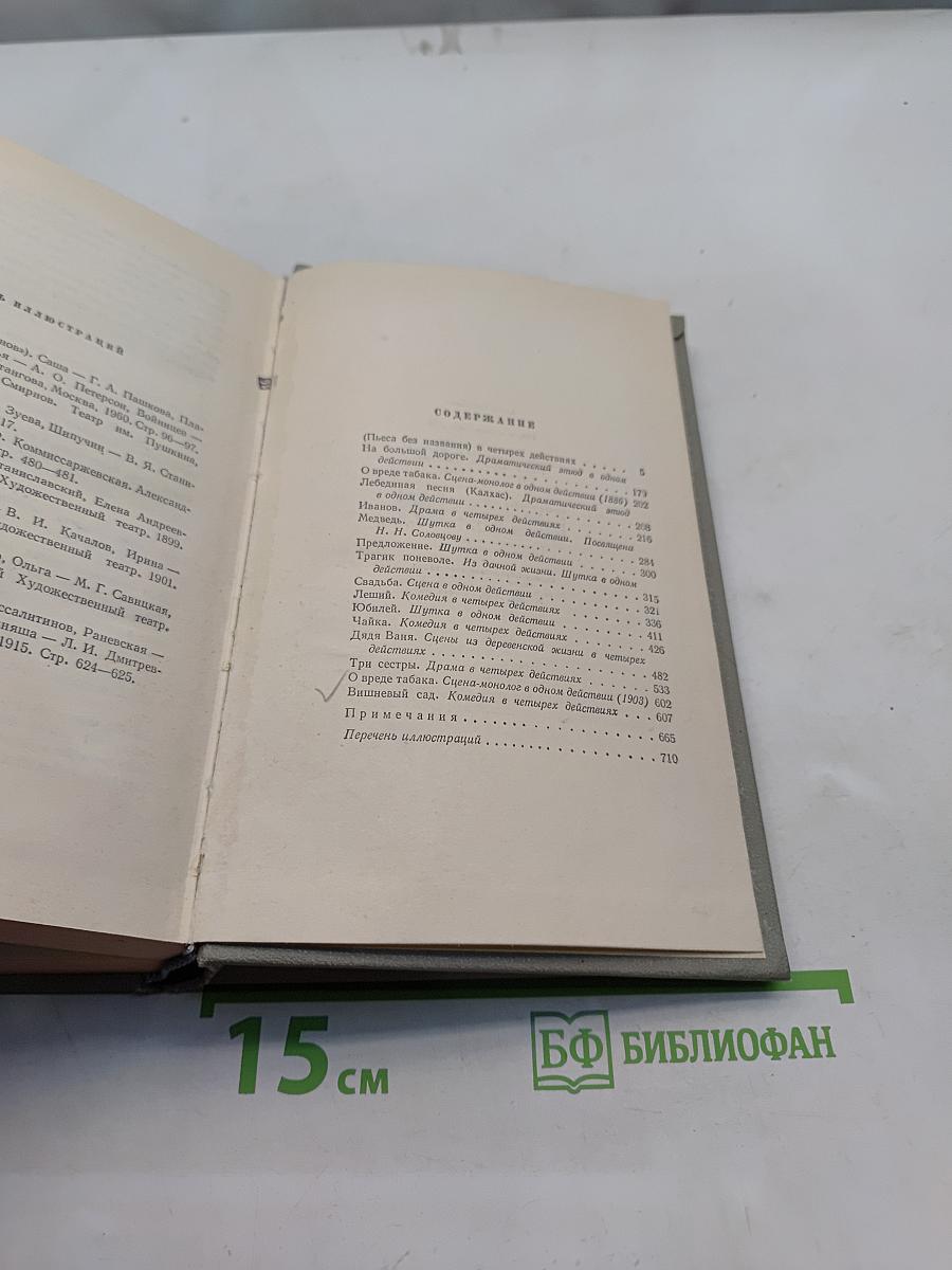 Собрание сочинений. Том десятый. Пьесы 1889-1904