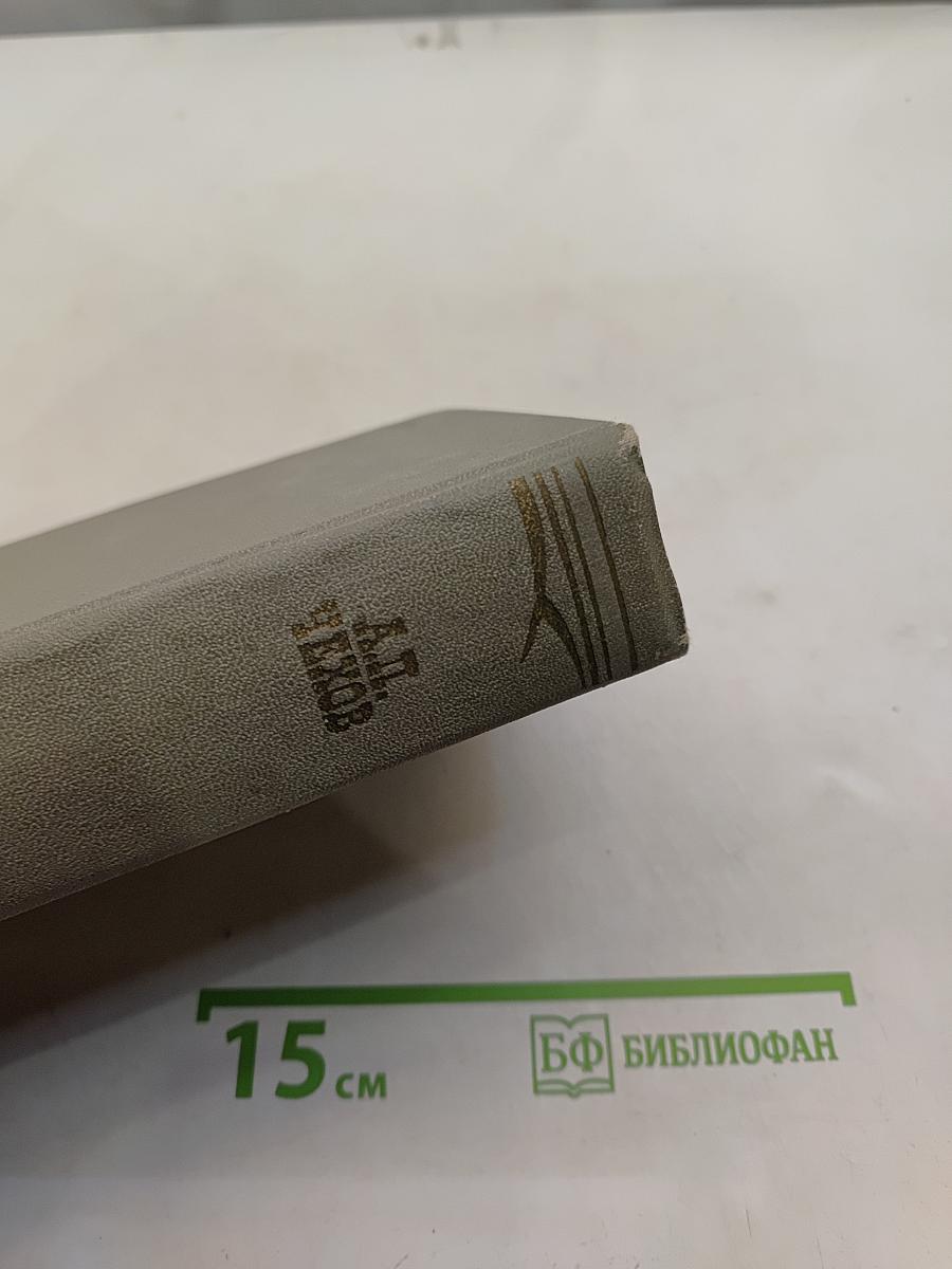 Собрание сочинений. Том десятый. Пьесы 1889-1904