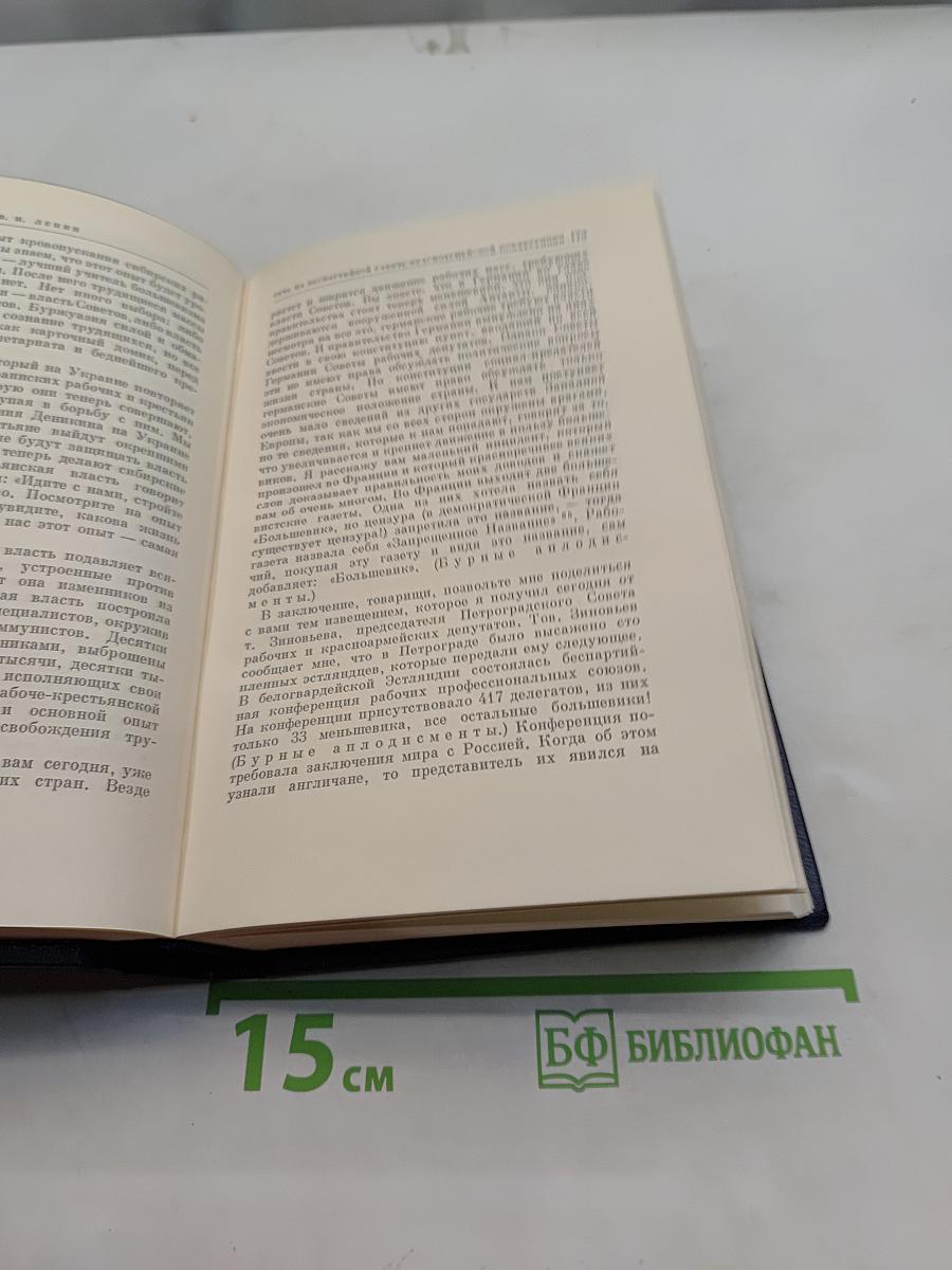 Полное собрание сочинений. Том 39. Июнь – декабрь 1919