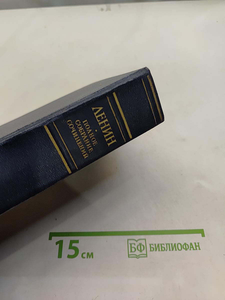 Полное собрание сочинений. Том 39. Июнь – декабрь 1919
