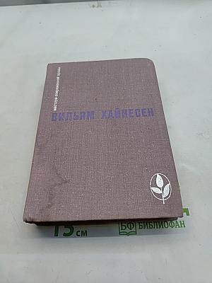 Черный котел. Пропащие музыканты