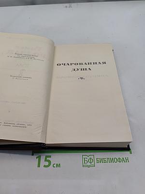 Очарованная душа
