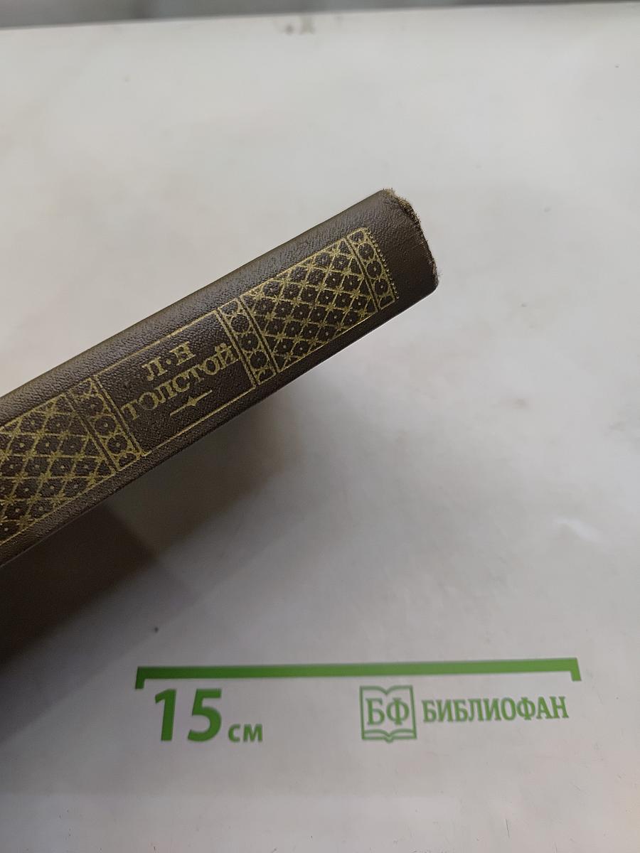Анна Каренина. Роман в восьми частях. Том восьмой