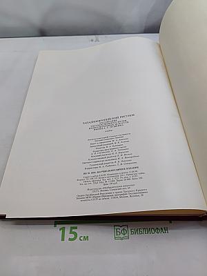Западно-европейский рисунок из собрания Государственного музея изобразительных искусств имени А. С. Пушкина