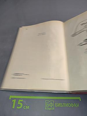 Радищев. Михайловский замок