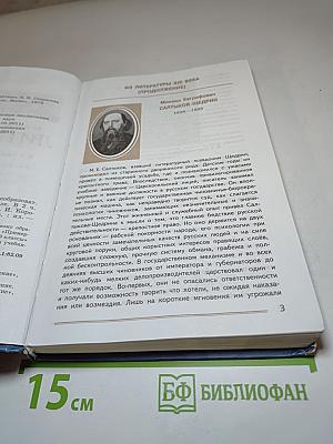 Литература. 8 класс. Учебник. Часть 2