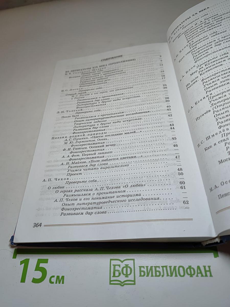 Литература. 8 класс. Учебник. Часть 2