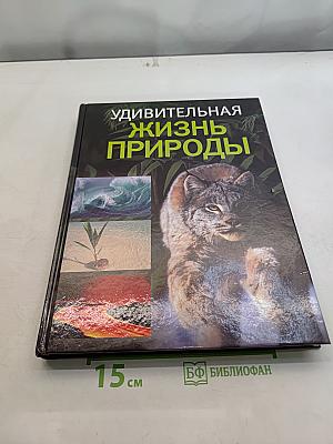 Удивительная жизнь природы