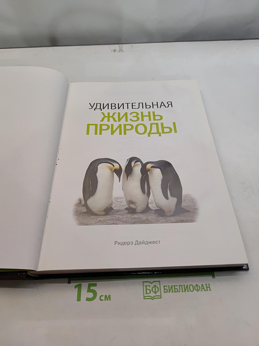 Удивительная жизнь природы