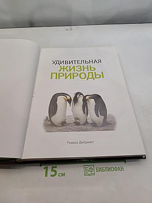 Удивительная жизнь природы